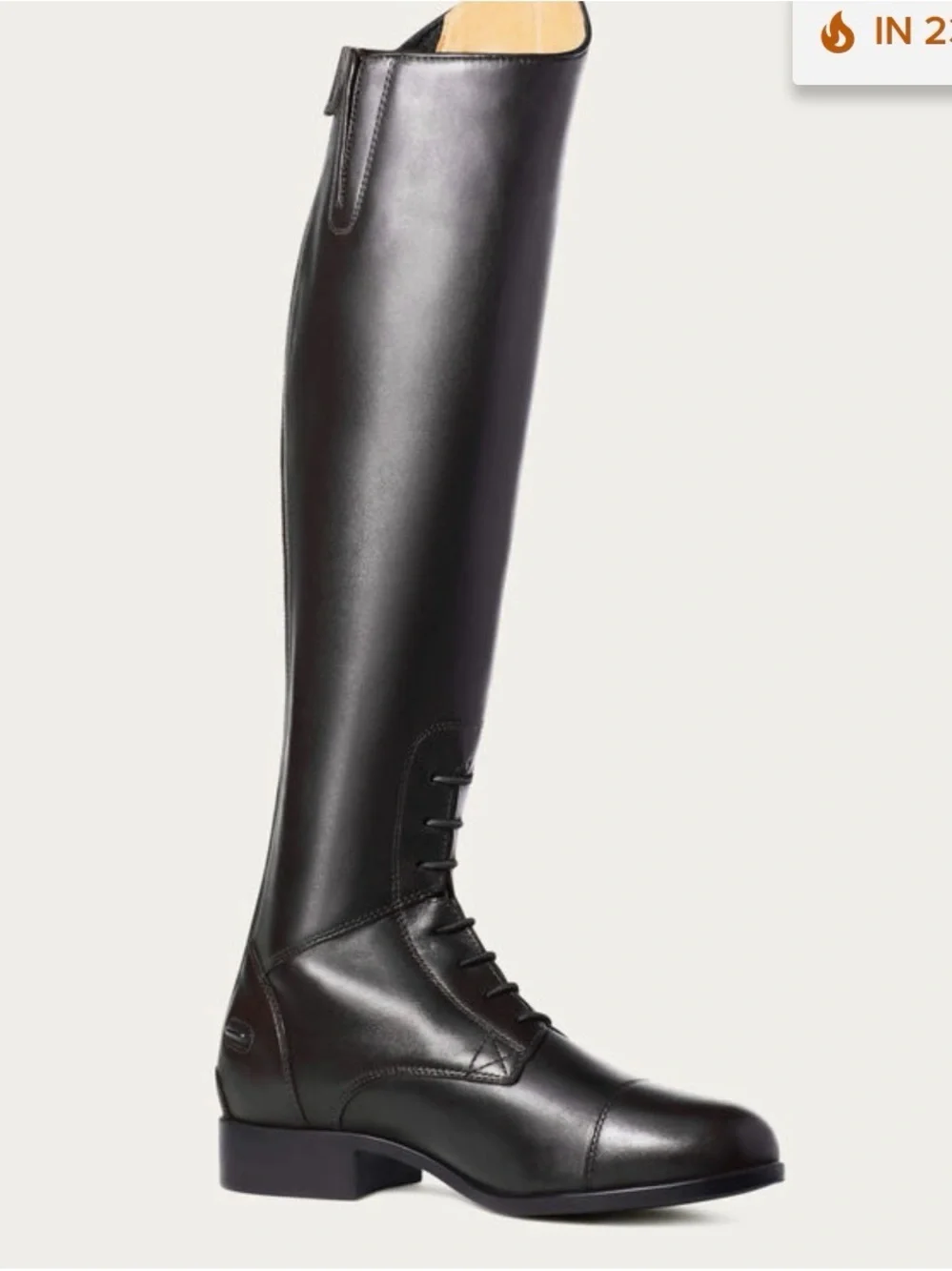 *New*Ariat Equestrian Women’s Tall Lace-Front Field Riding Boots - Black Leather